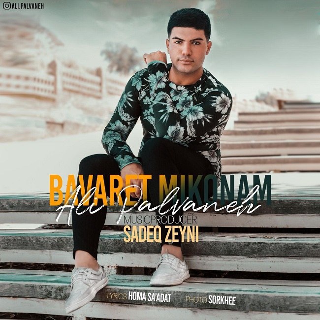 دانلود آهنگ باورت میکنم